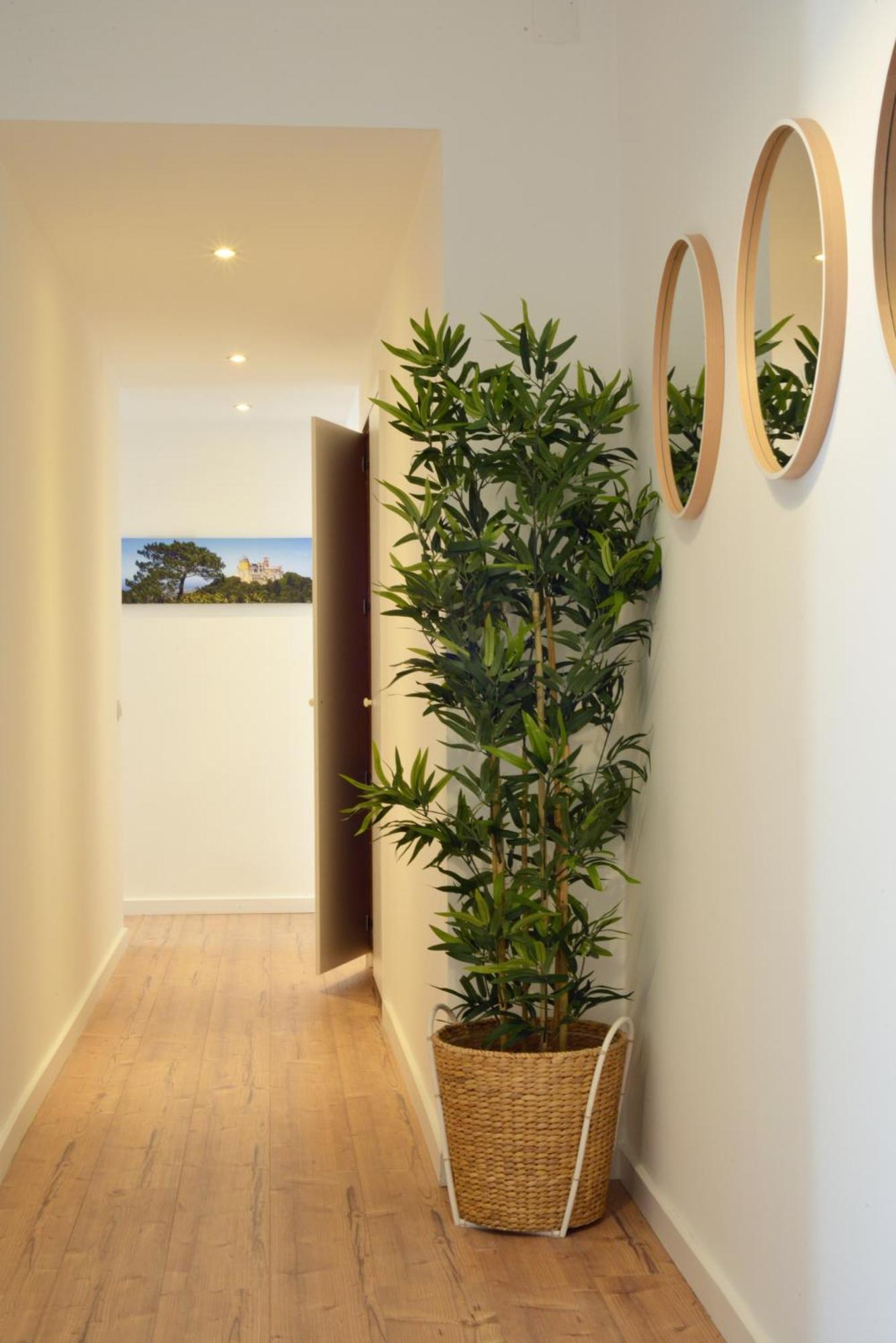 Spot Apartments Ceuta Porto Zewnętrze zdjęcie